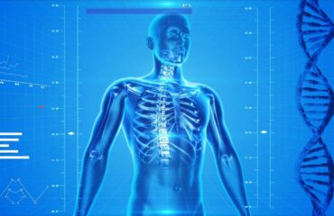 human skeleton 163715 1280