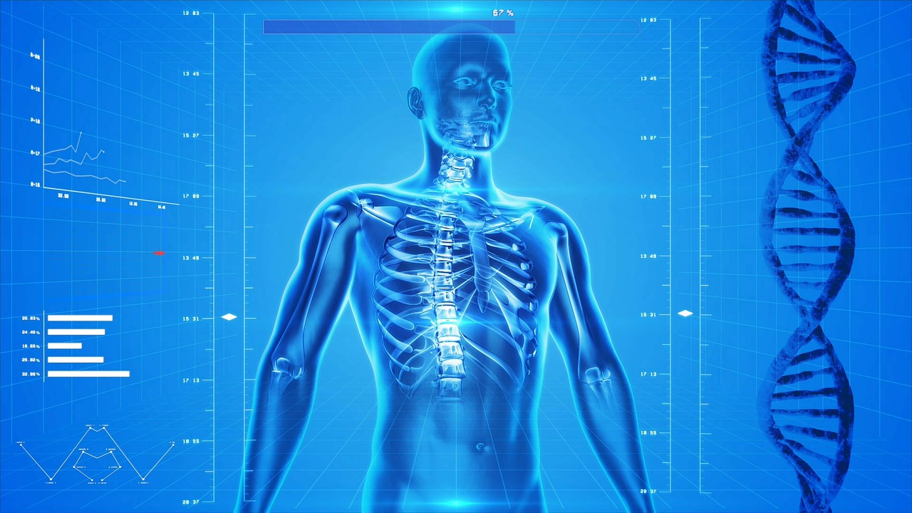 human skeleton 163715 1280 human skeleton 163715 1280