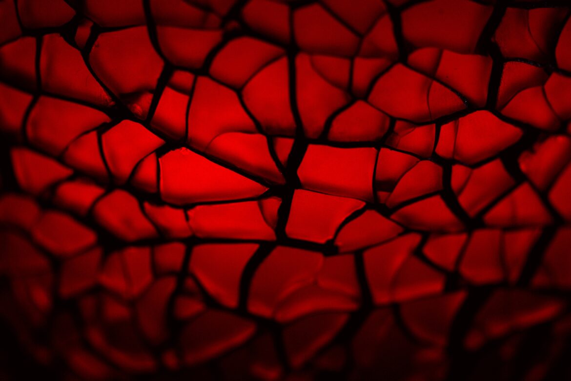 sharon mccutcheon 1074907 unsplash scaled