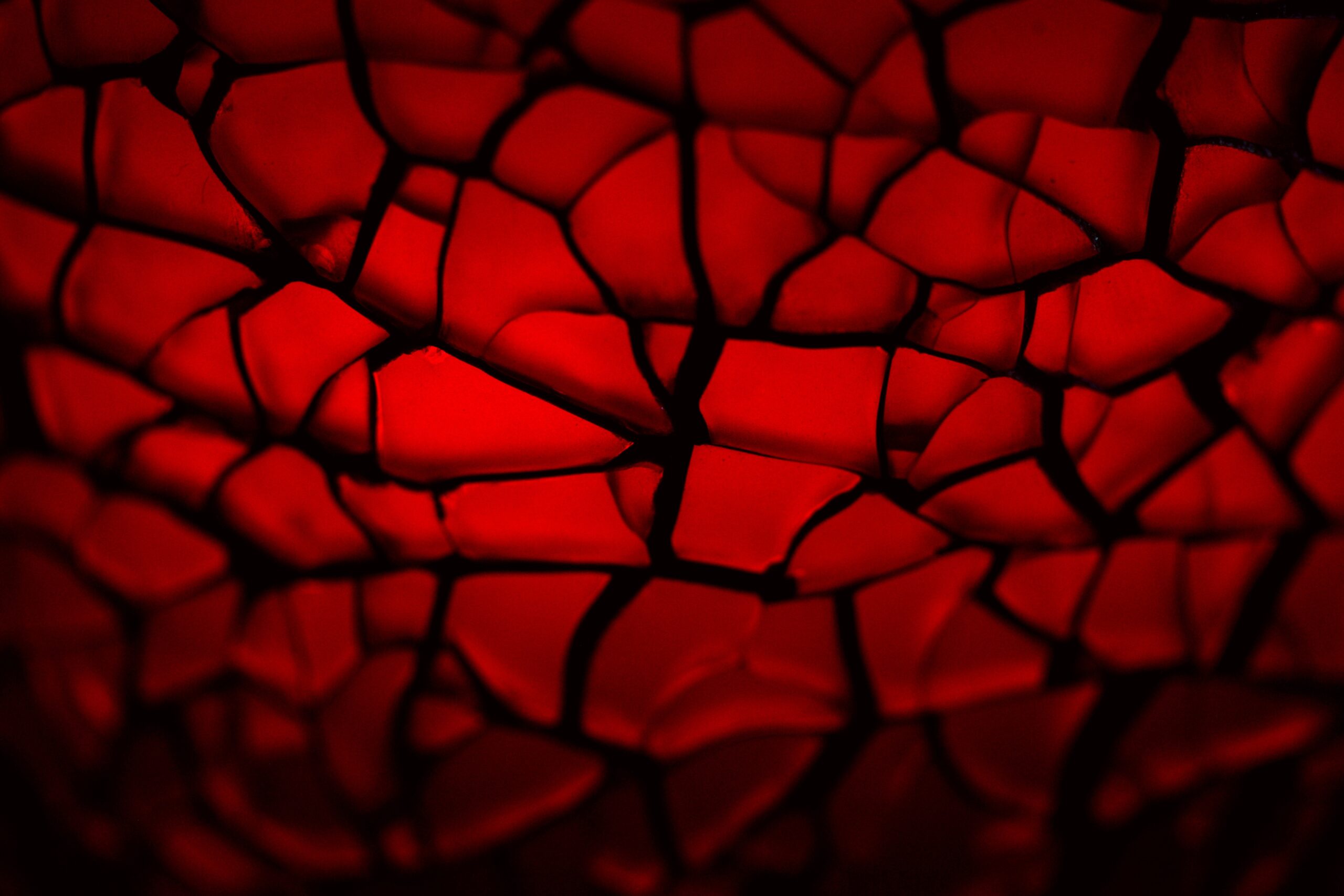 sharon mccutcheon 1074907 unsplash scaled sharon mccutcheon 1074907 unsplash scaled